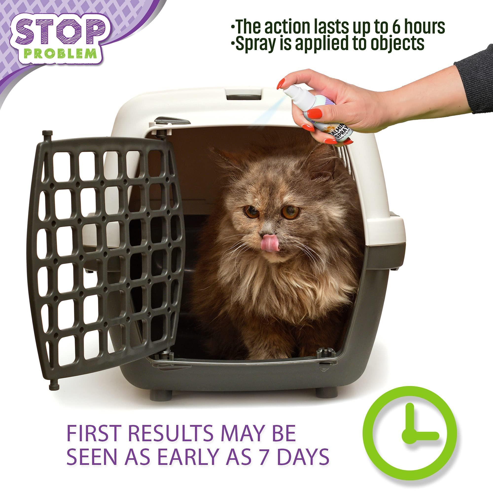 Pawsitive Mind Calming Pheromone Spray