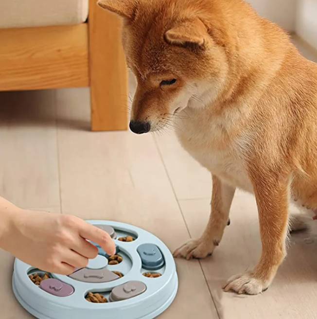 Pawsitive Mind Puzzle Feeder Bowl
