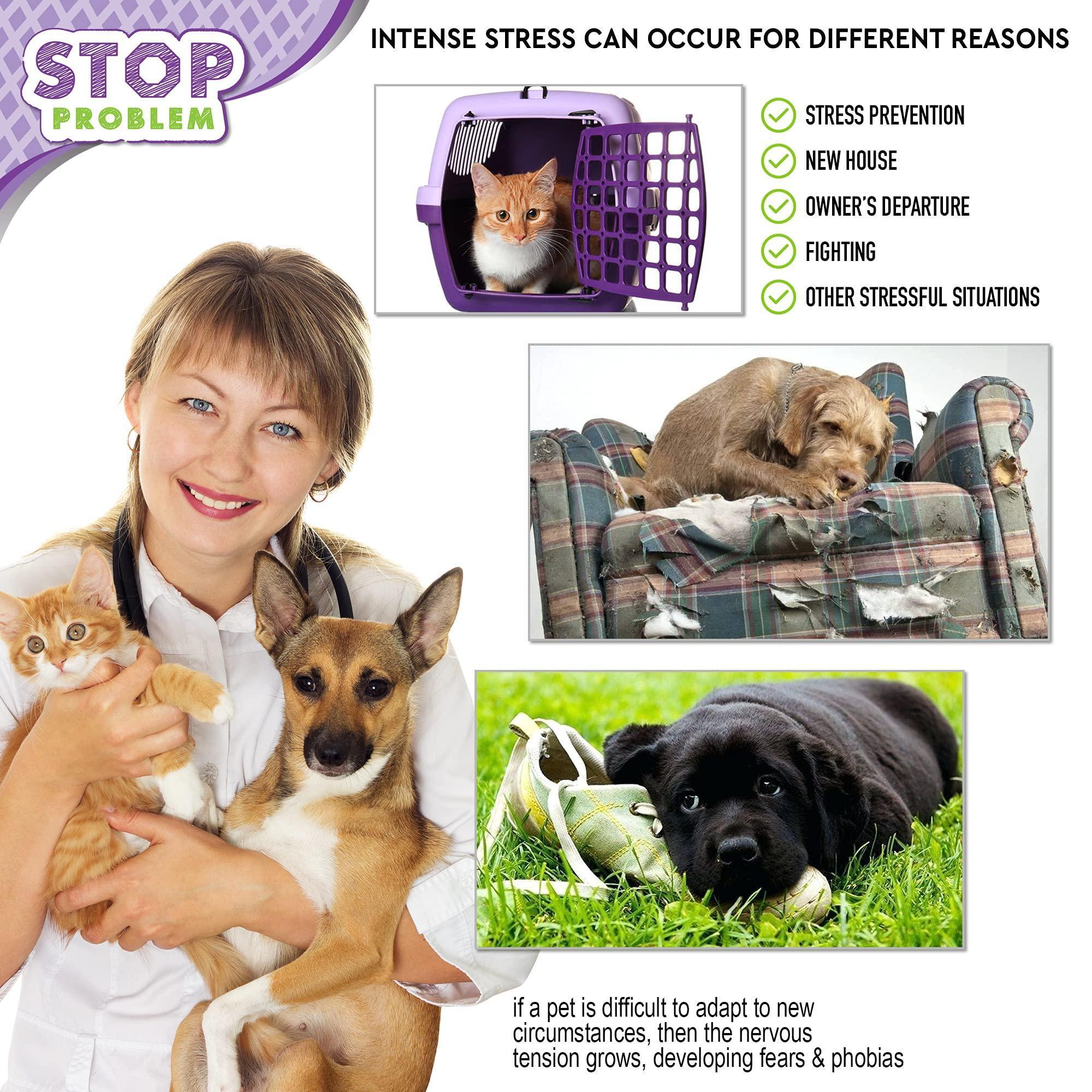 Pawsitive Mind Calming Pheromone Spray
